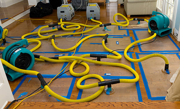 Professional Crawl Space Water Removal technician working in Rumney, NH